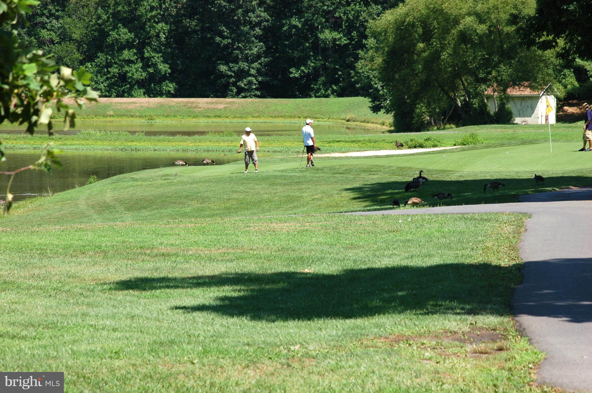 12003 Golf Ridge Court, Unit 102 Fairfax, VA 22033 - Photo 15 of 21 Penderbrook Golf Course
