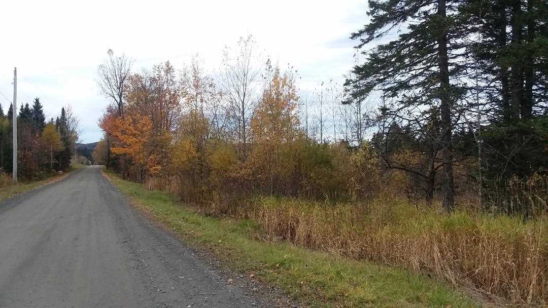 *** Noyes Road Stewartstown, NH 03576 - Photo 2 of 5