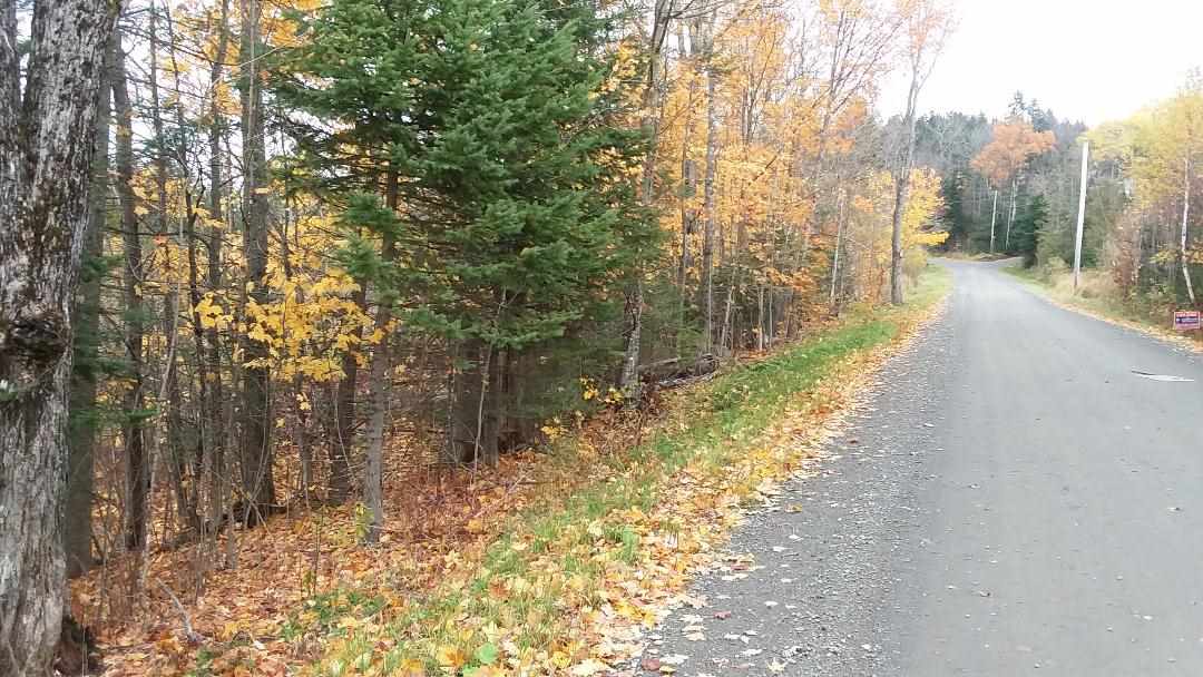 *** Noyes Road Stewartstown, NH 03576 - Photo 3 of 5
