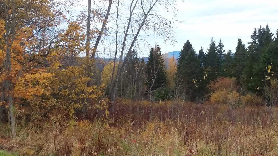 *** Noyes Road Stewartstown, NH 03576 - Photo 4 of 5