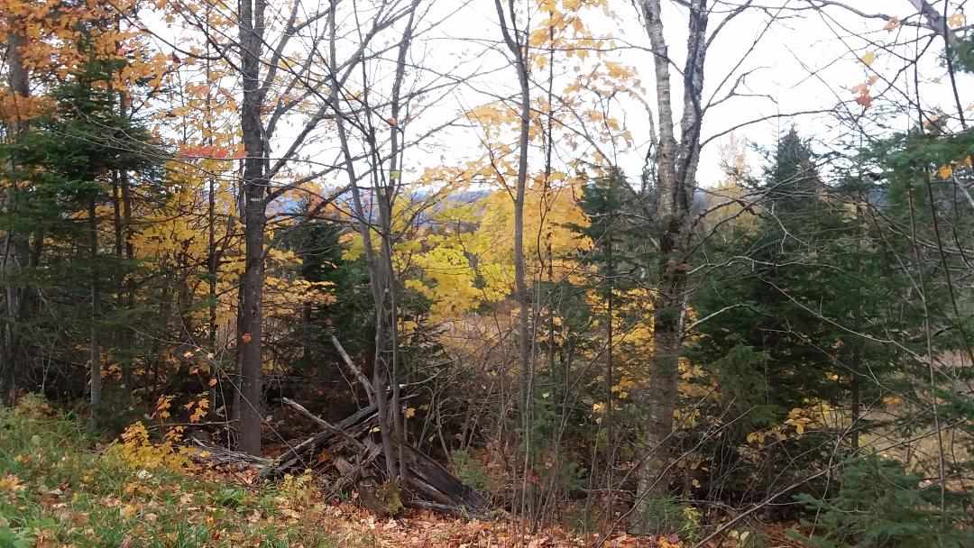 *** Noyes Road Stewartstown, NH 03576 - Photo 5 of 5