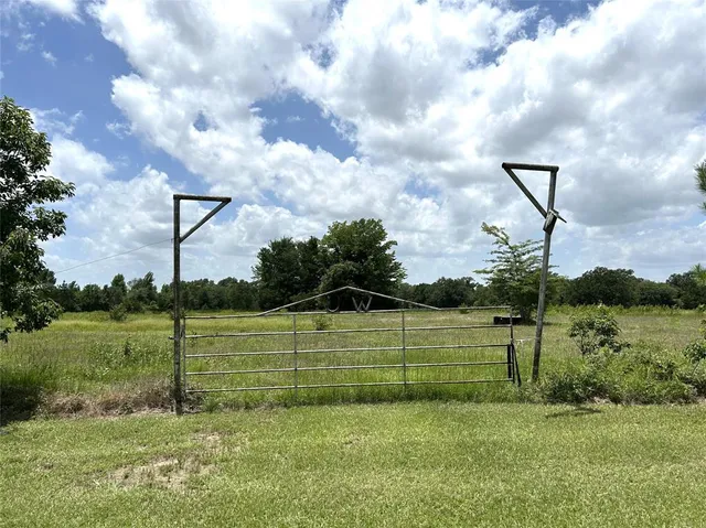 a view of a big yard with potted plants and large tree