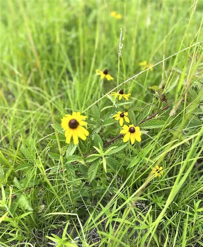 $349,900 | 596 South 271st Highway, Bogata, TX 75417