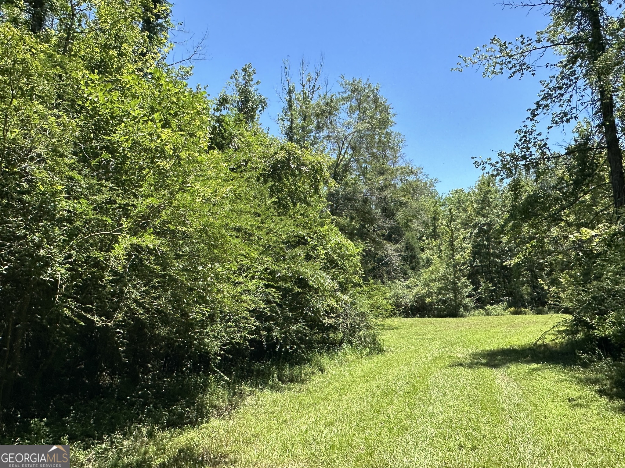 3 Case Road Slocomb, AL 36375 - Photo 1 of 1