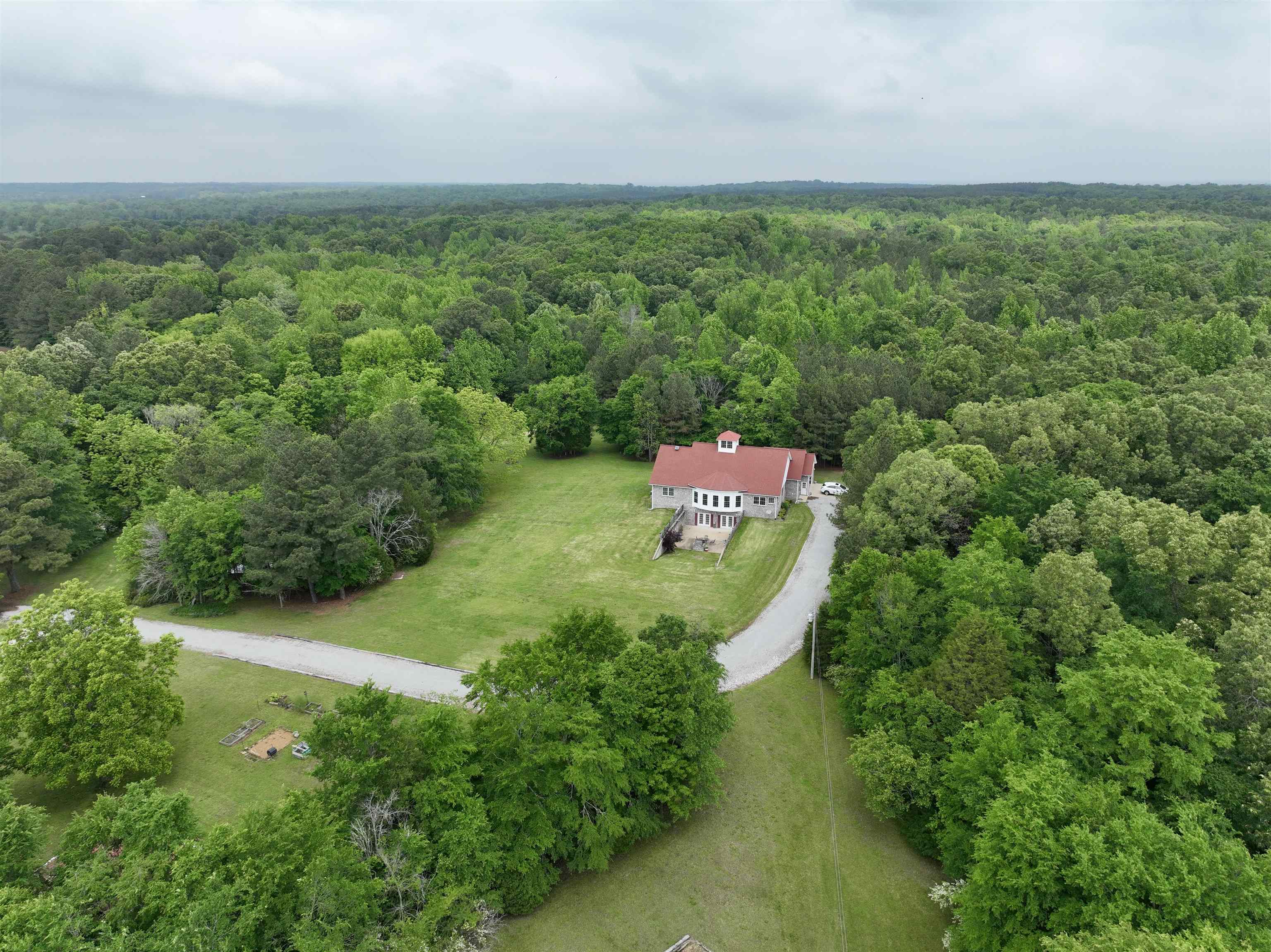 1359 Macks Grove Road Palmersville, TN 38241 - Photo 1 of 40 View of subject property with a heavily wooded area