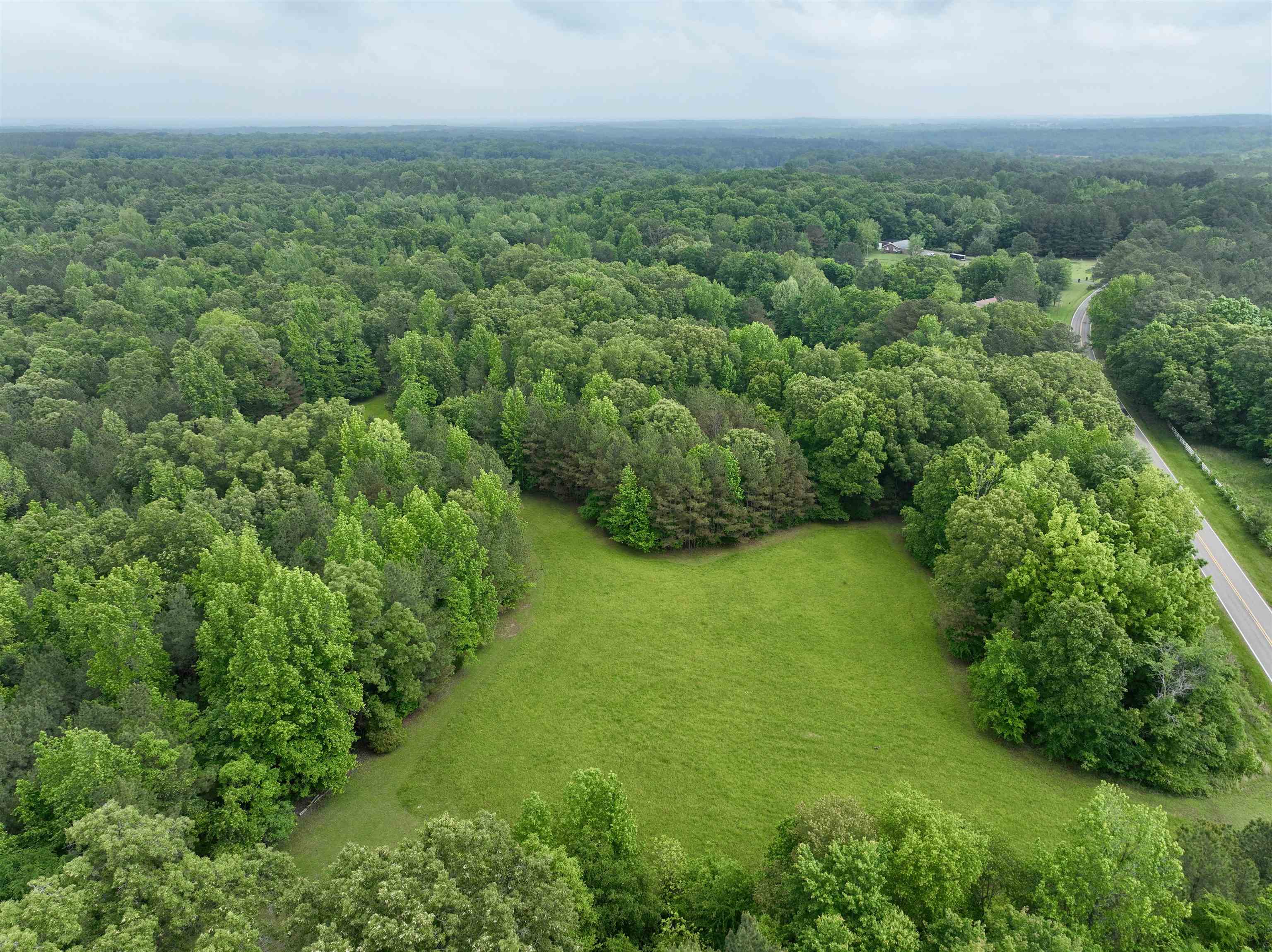 1359 Macks Grove Road Palmersville, TN 38241 - Photo 33 of 40 Aerial view of a heavily wooded area