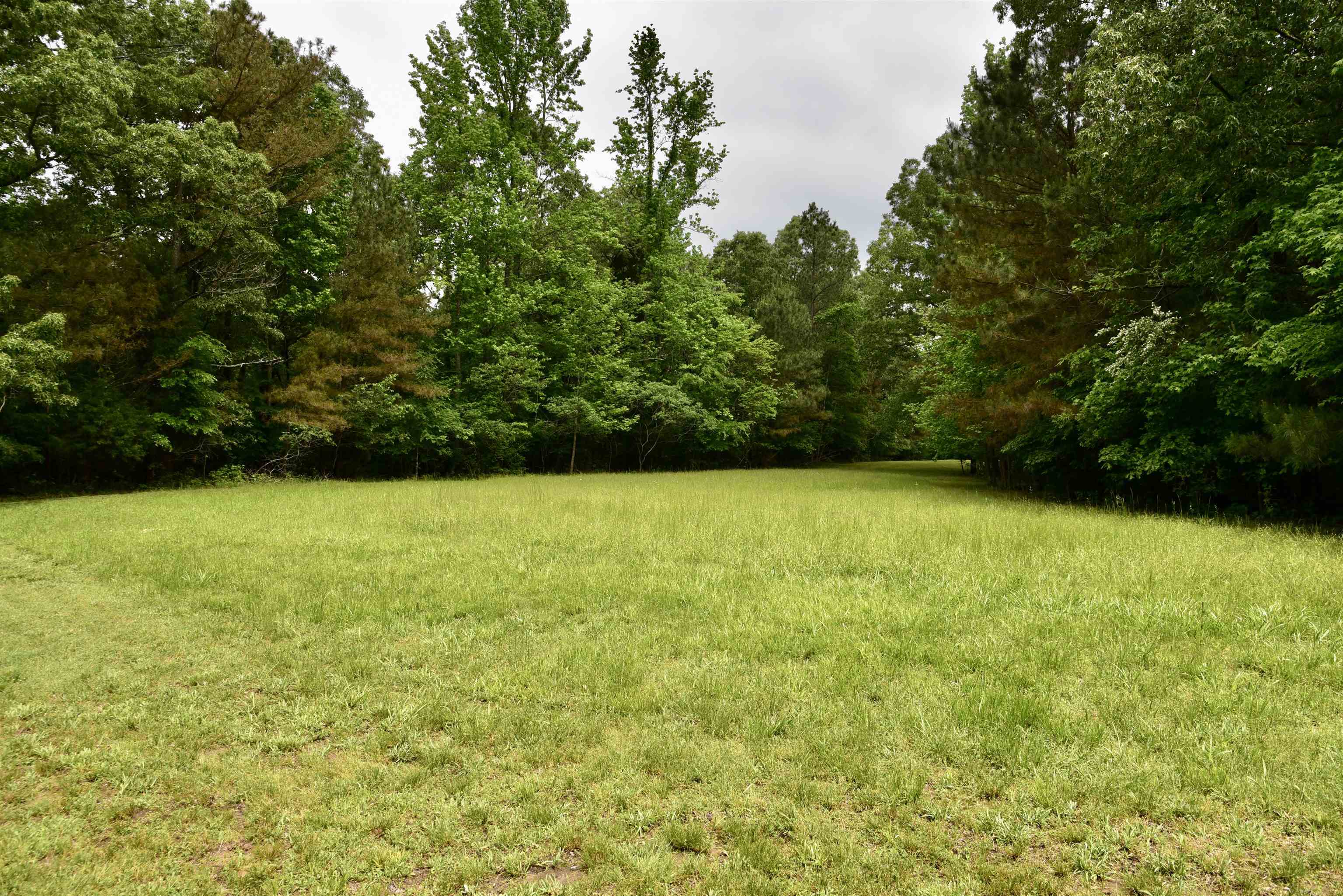 1359 Macks Grove Road Palmersville, TN 38241 - Photo 34 of 40 View of grassy yard featuring a view of trees