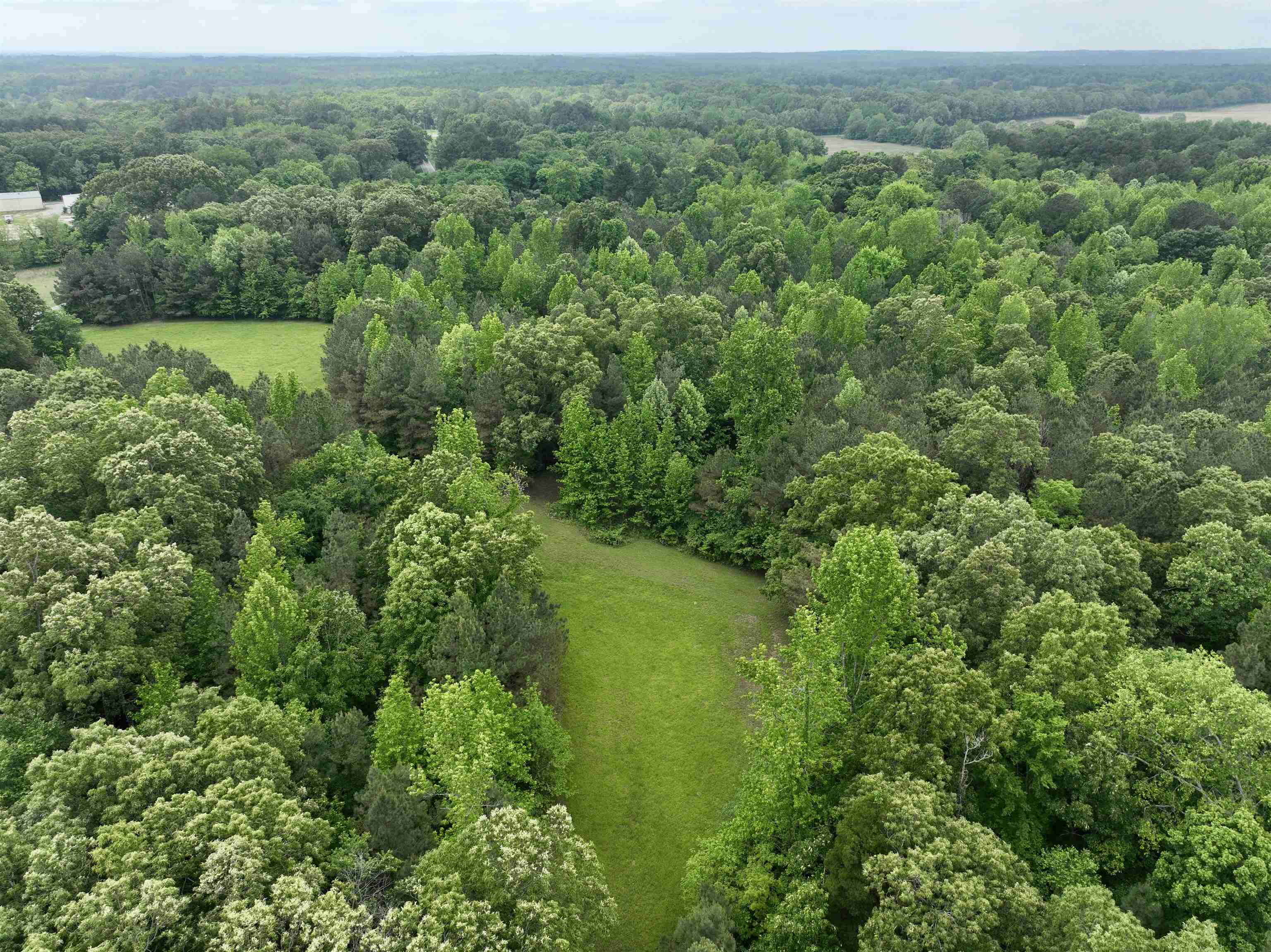 1359 Macks Grove Road Palmersville, TN 38241 - Photo 35 of 40 Bird's eye view of a heavily wooded area