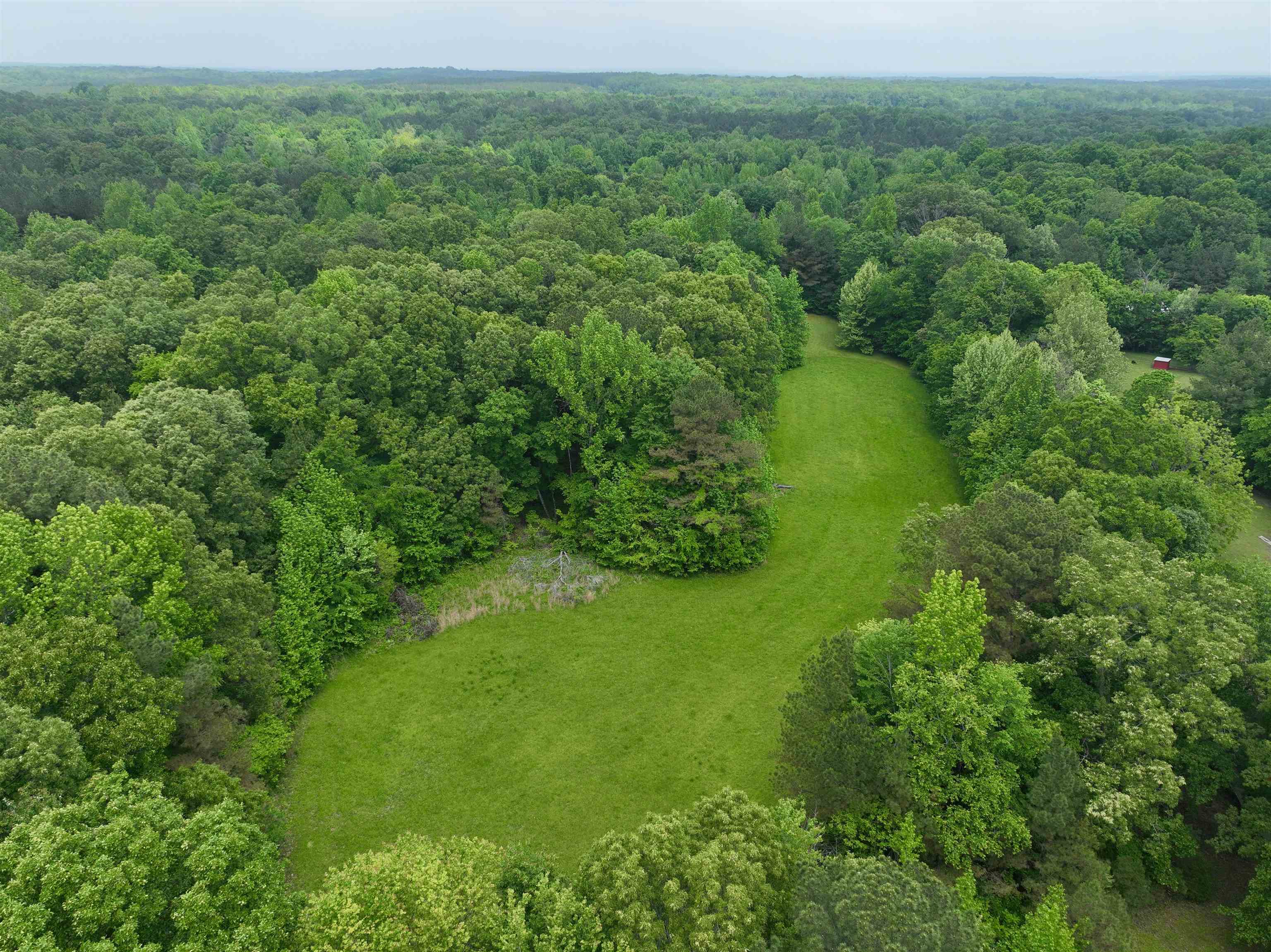 1359 Macks Grove Road Palmersville, TN 38241 - Photo 37 of 40 Aerial view of a forest