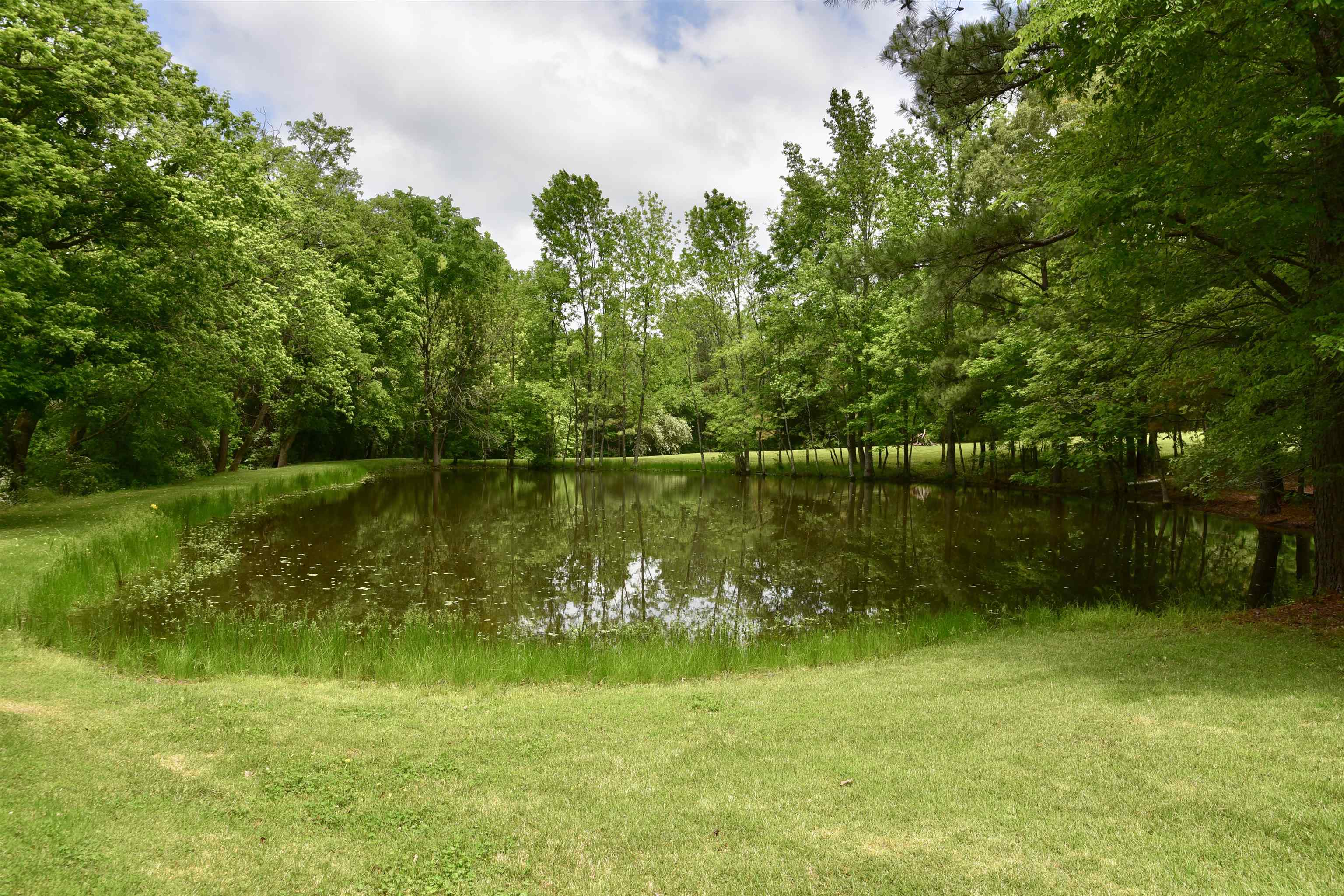 1359 Macks Grove Road Palmersville, TN 38241 - Photo 39 of 40 Water view featuring a heavily wooded area