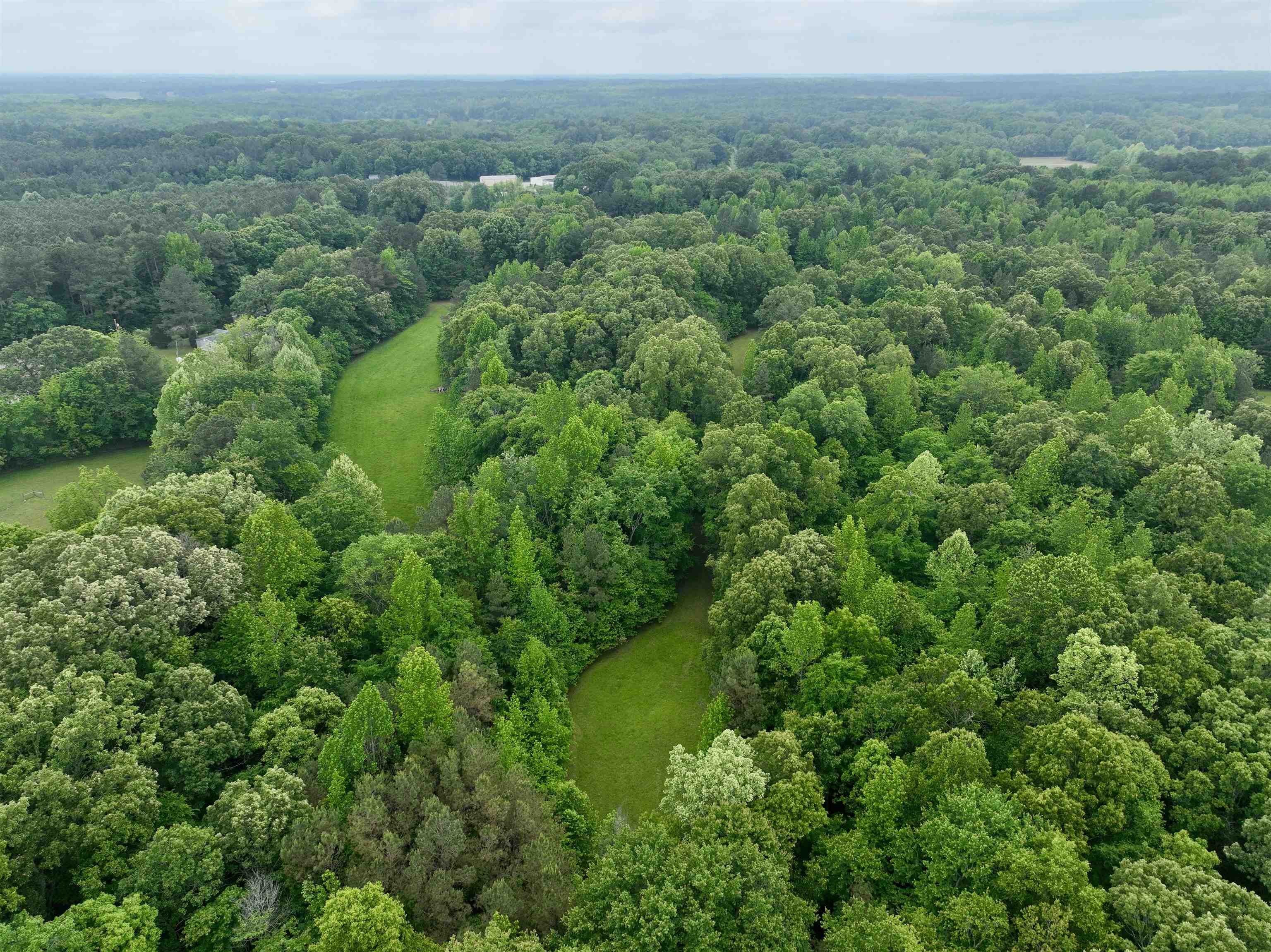 1359 Macks Grove Road Palmersville, TN 38241 - Photo 6 of 40 Drone / aerial view of a forest