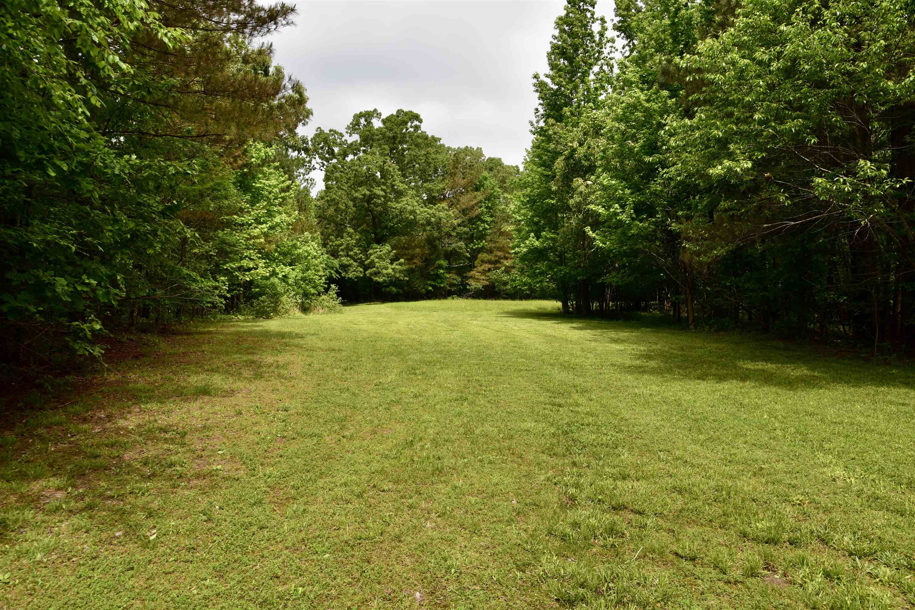 1359 Macks Grove Road Palmersville, TN 38241 - Photo 8 of 40 View of green lawn with a wooded view