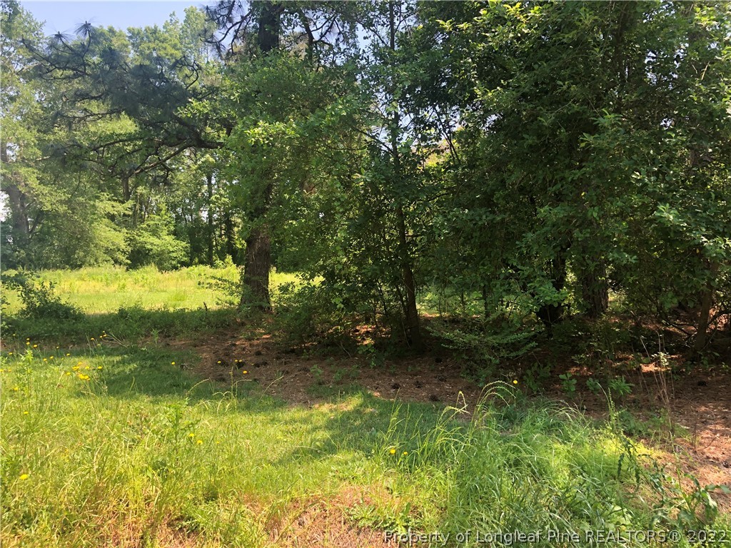 1666 Minnie Hall Road Autryville, NC 28318 - Photo 1 of 5 Gallery Image 1