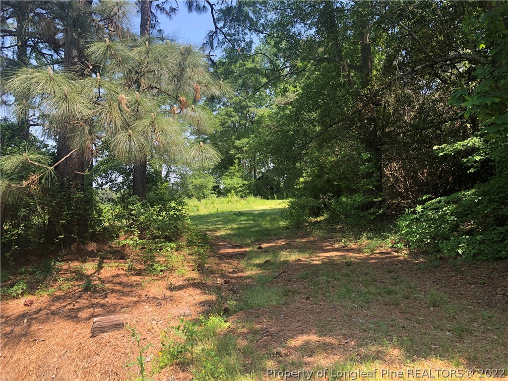 1666 Minnie Hall Road Autryville, NC 28318 - Photo 2 of 5 Gallery Image 2