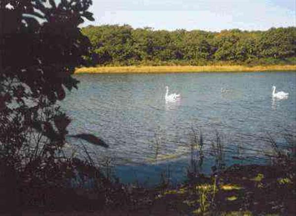 46 Turkeyland Cove Road Edgartown, MA 02539 - Photo 2 of 2 http://d1qzqeyxiitrap.cloudfront.net/photos/11464/600/cef9502c.jpg