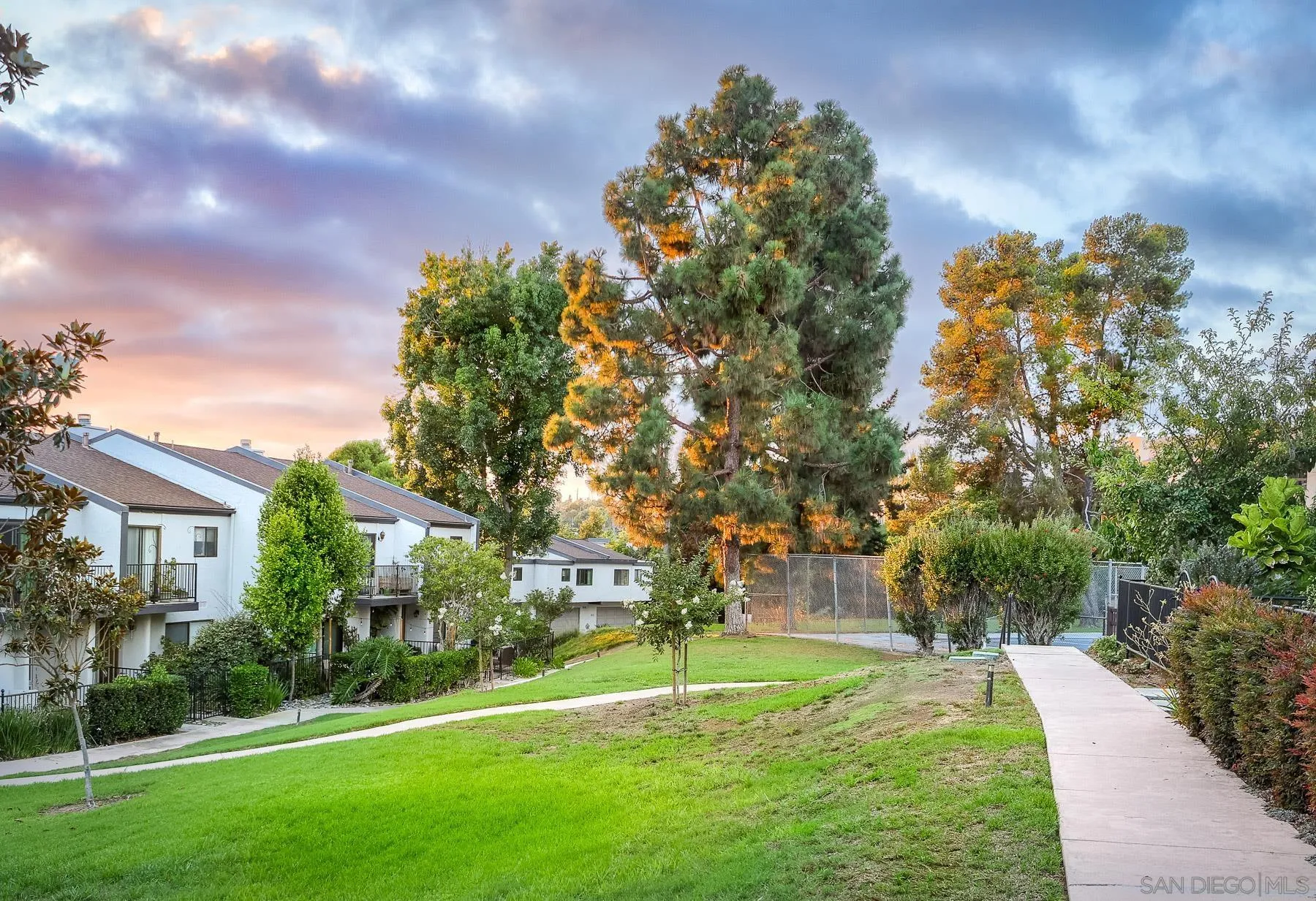7325 Alicante Road, Unit A Carlsbad, CA 92009 - Photo 36 of 44 a backyard of a house with lots of green space and garden