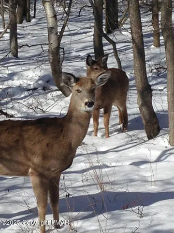 $419,700 | 3144 Spring Court, Bushkill, PA 18324