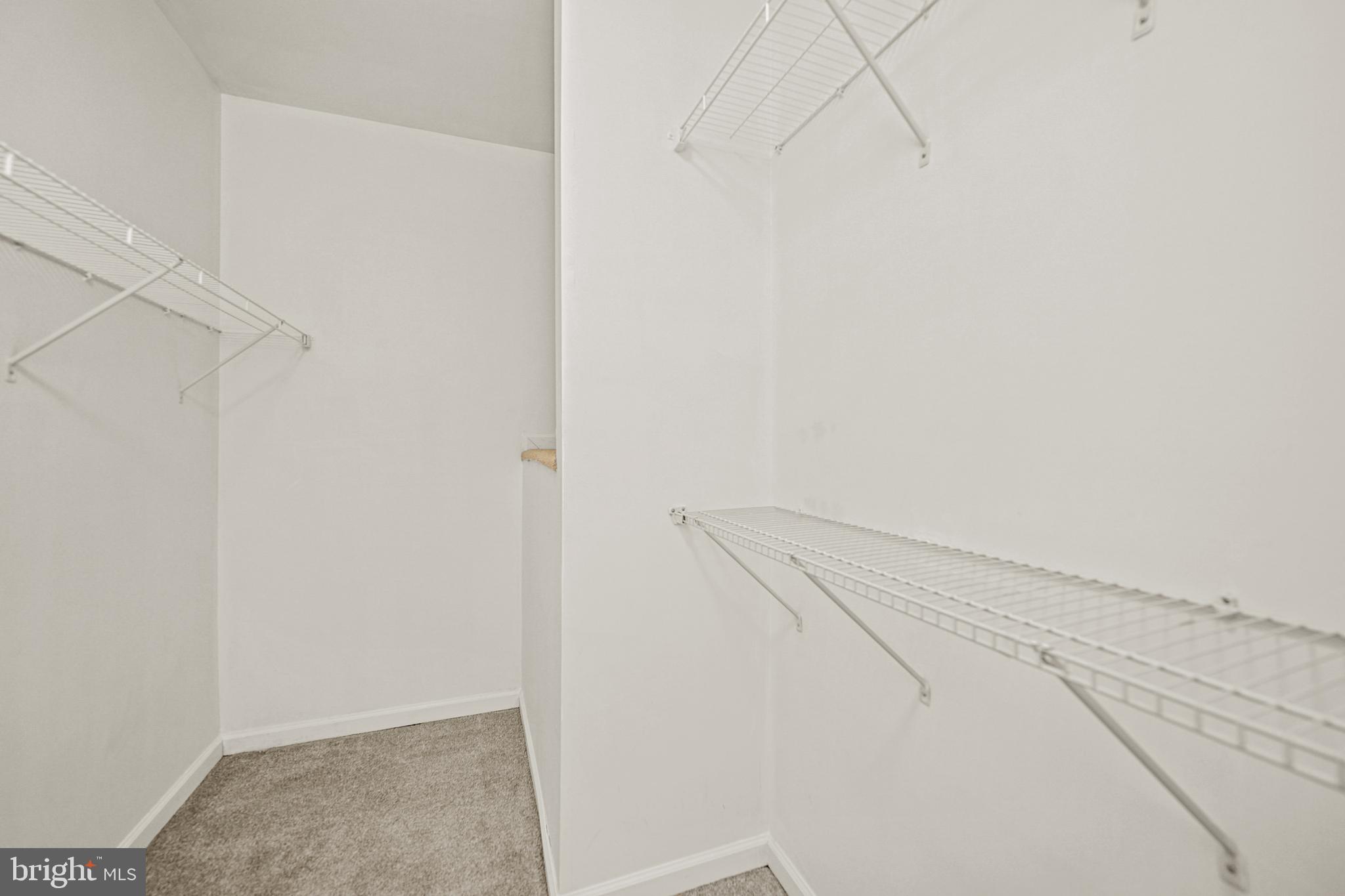 25928 Racing Sun Drive Aldie, VA 20105 - Photo 15 of 32 Primary Bedroom Walk-In Closet 2