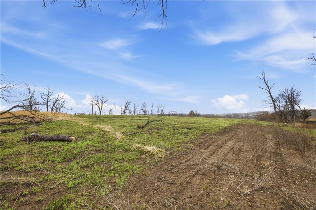 33646 West Laser Road New Hampton, MO 64471 - Photo 37 of 42