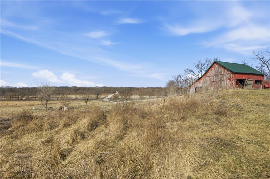 33646 West Laser Road New Hampton, MO 64471 - Photo 4 of 42