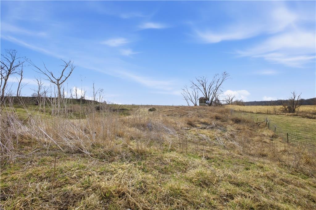 33646 West Laser Road New Hampton, MO 64471 - Photo 6 of 42