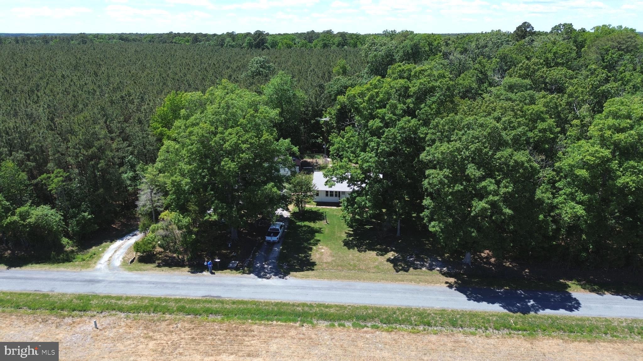 5260 Wilson Road Cambridge, MD 21613 - Photo 27 of 27