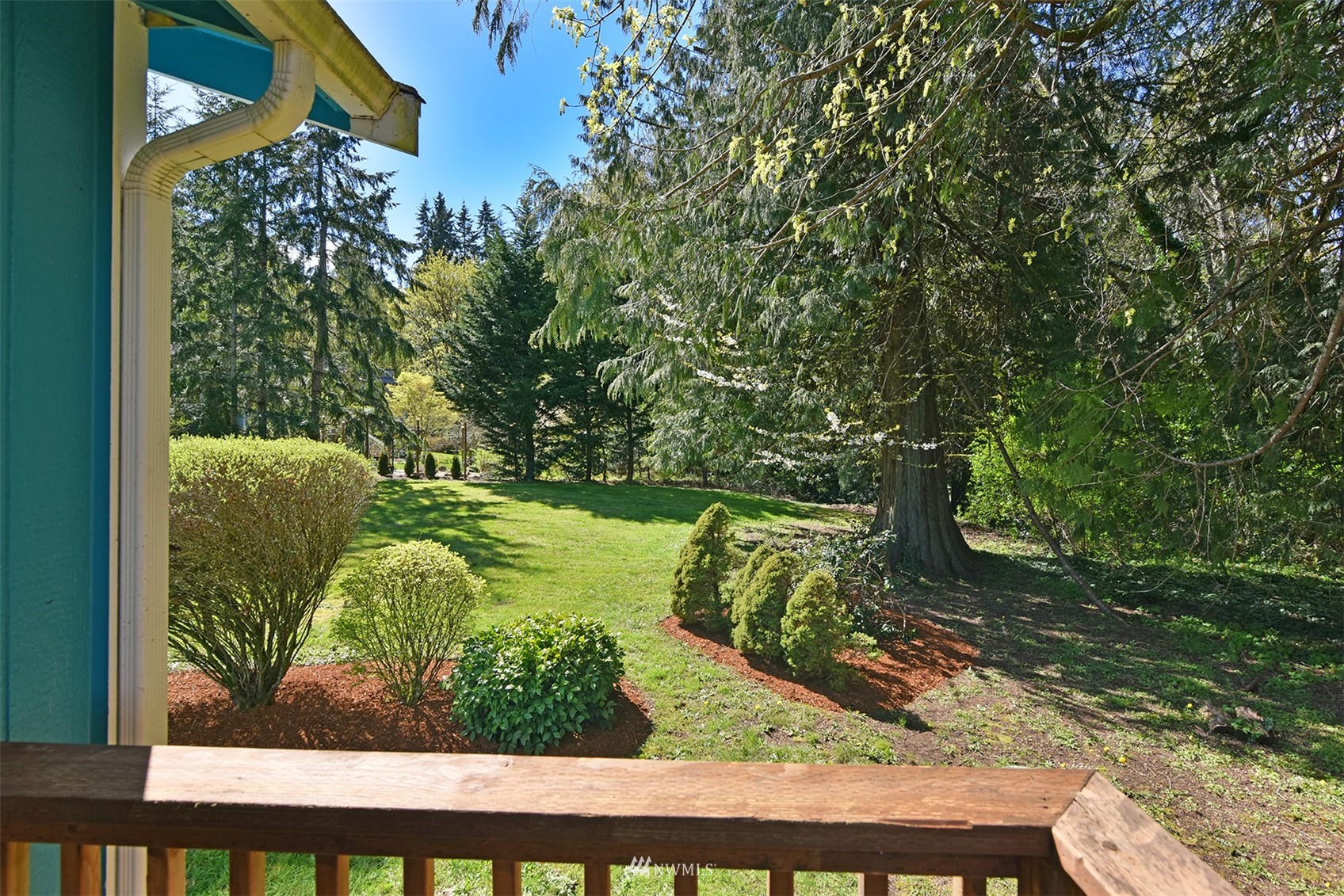 8963 Miller Road Northeast Bainbridge Island, WA 98110 - Photo 34 of 35 a view of a yard with plants