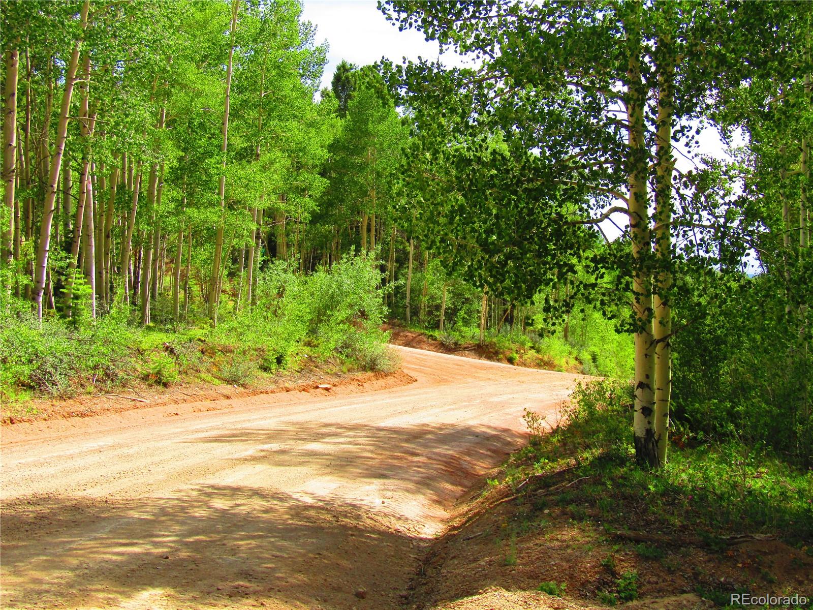 Lot 6093 Forbes Road San Luis, CO 81152 - Photo 5 of 14