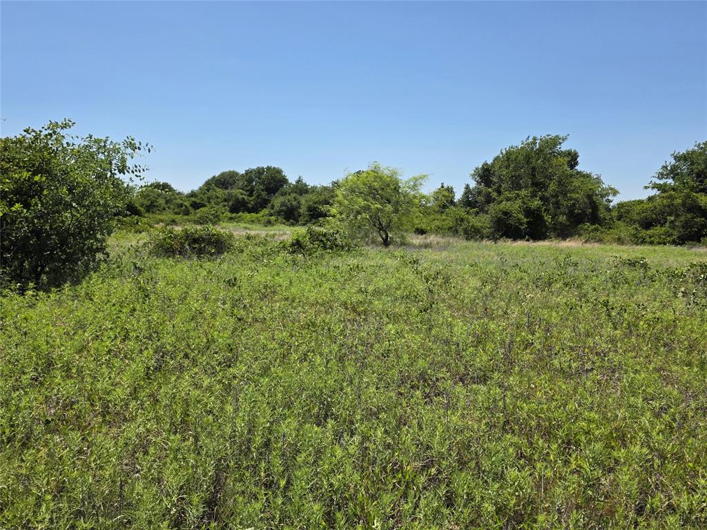 1000 County Road 375 Rising Star, TX 76471 - Photo 40 of 40