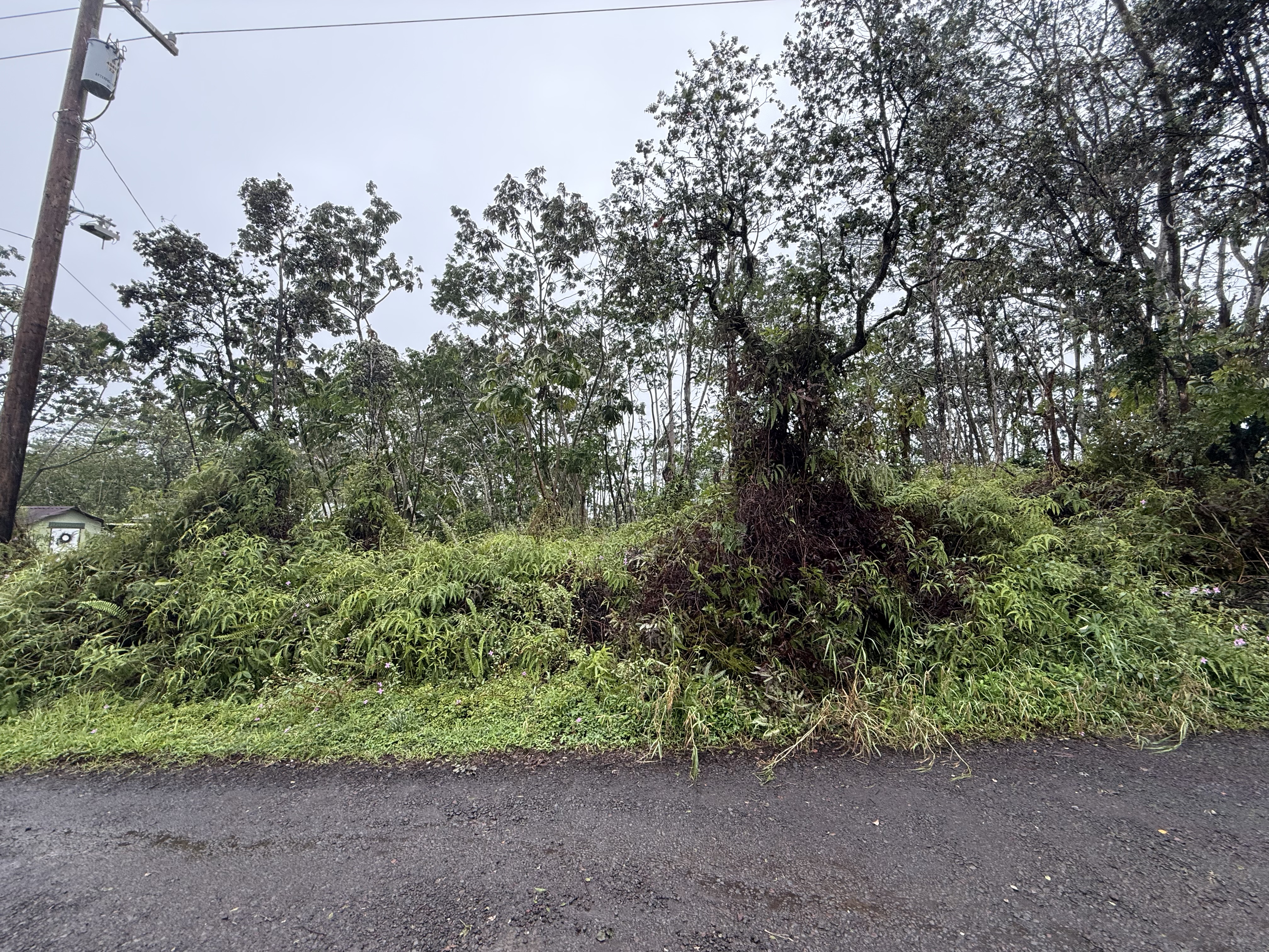 464 Forest Road Pahoa, HI 96778 - Photo 2 of 7