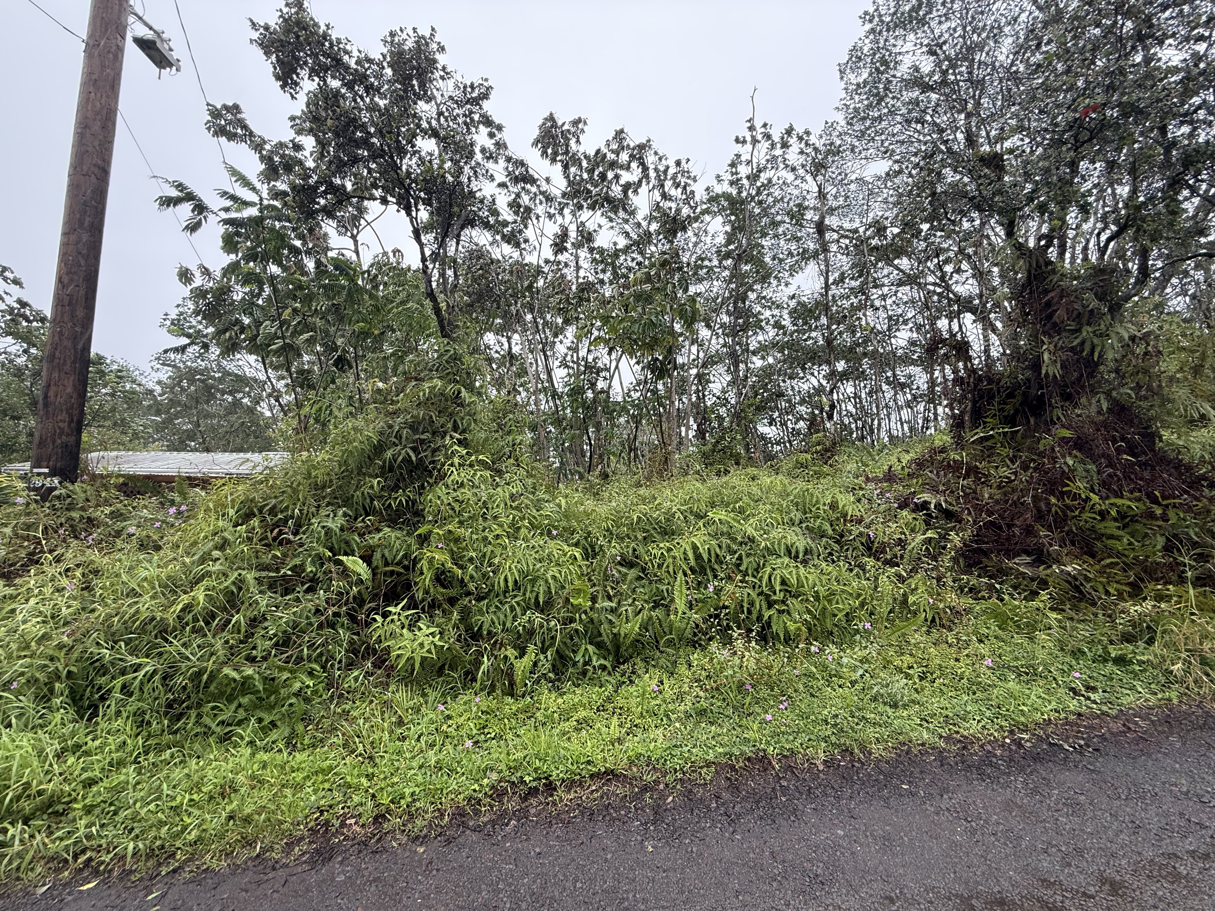 464 Forest Road Pahoa, HI 96778 - Photo 3 of 7