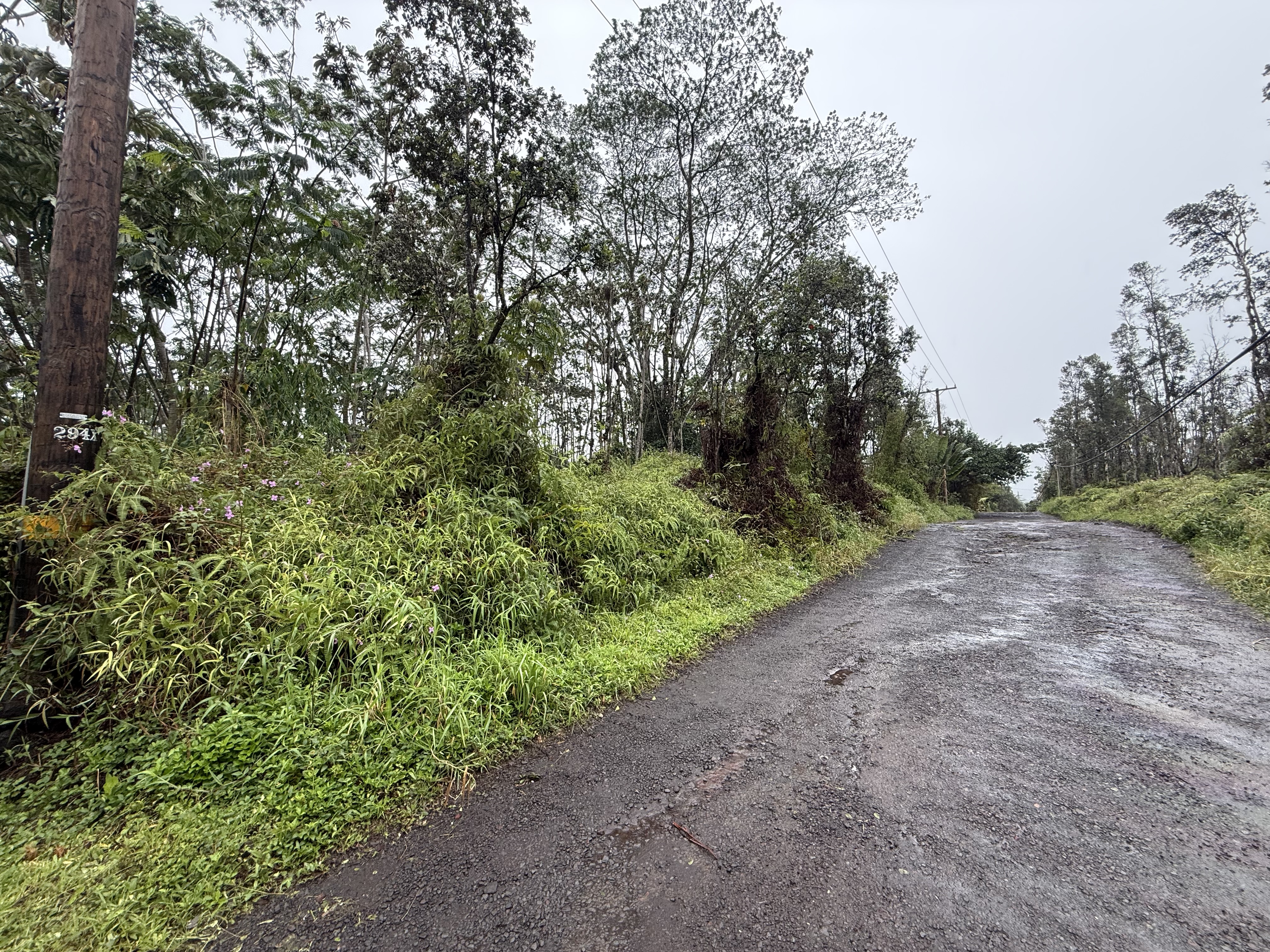 464 Forest Road Pahoa, HI 96778 - Photo 6 of 7