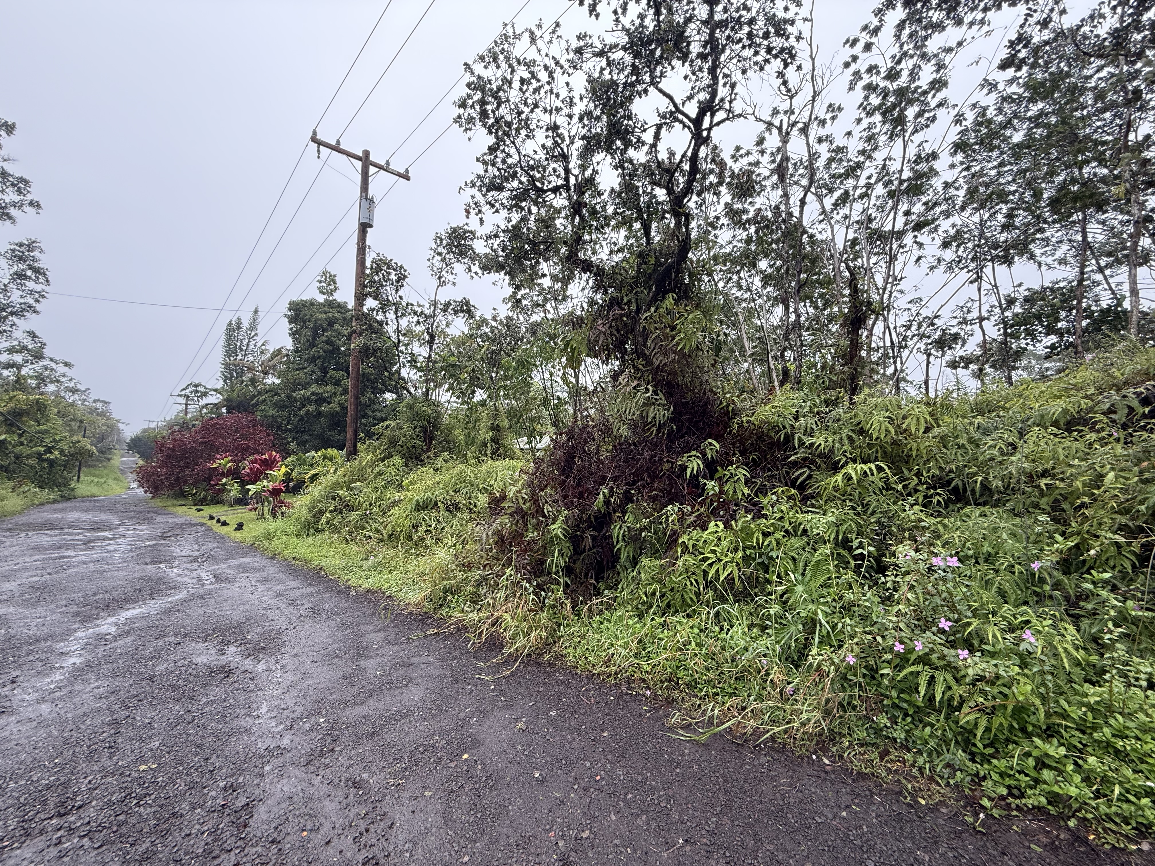 464 Forest Road Pahoa, HI 96778 - Photo 7 of 7