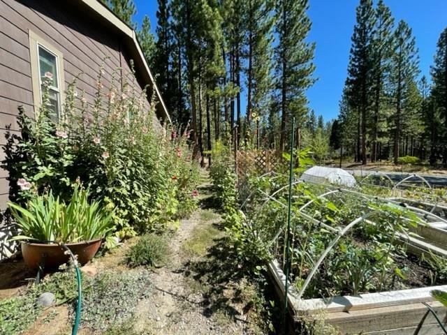 449 Main Street Calpine, CA 96124 - Photo 13 of 19 Gallery Image 13