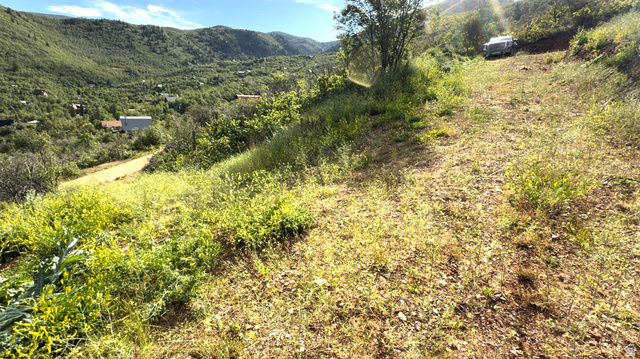 86 Oak Haven Road, Unit 86 Midway, UT 84049 - Photo 4 of 5