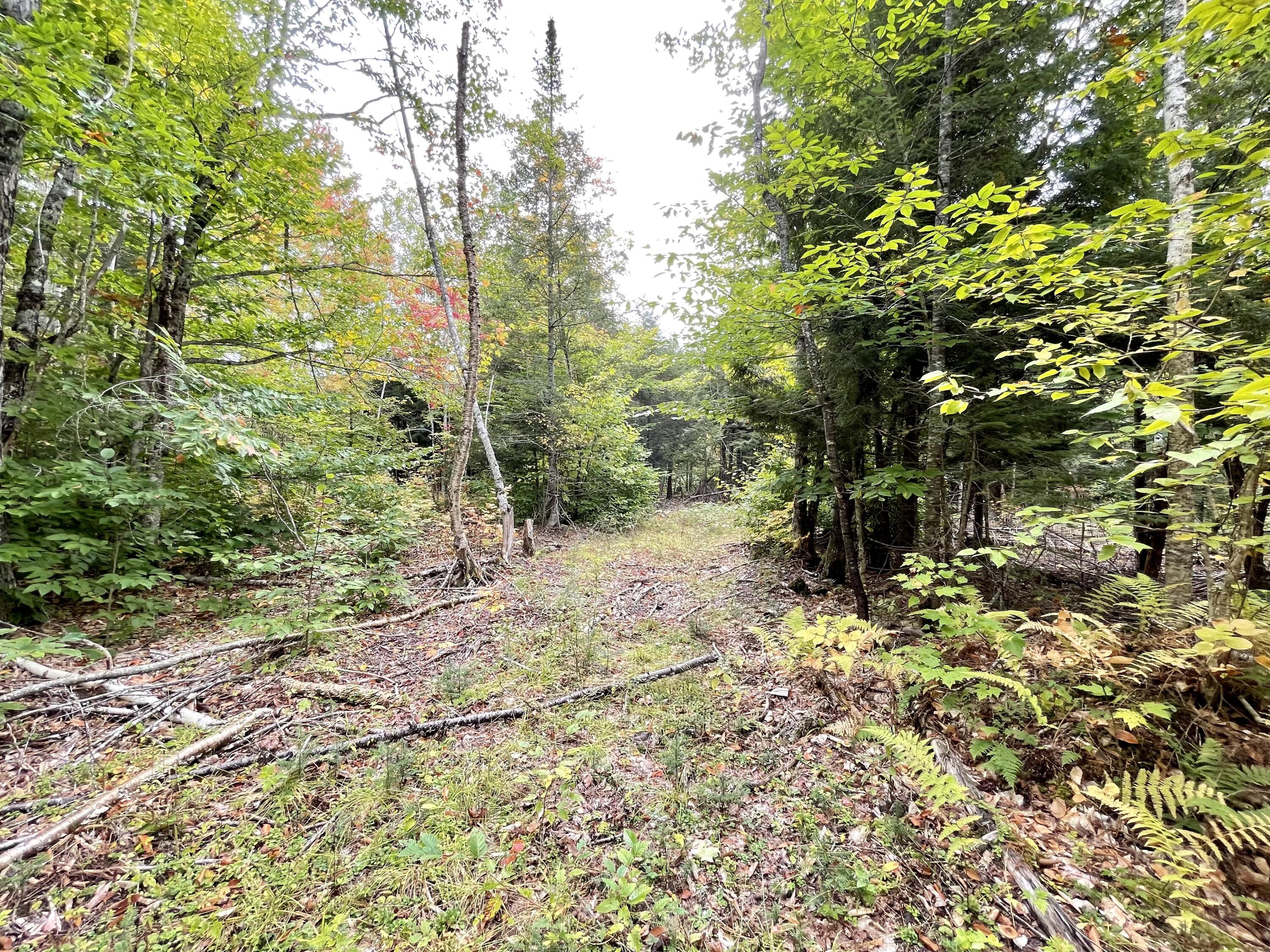 Lot 7 Ham Drive Springfield, ME 04487 - Photo 1 of 7 9997BAA7-E5BC-4837-9C1C-994D8B94075C