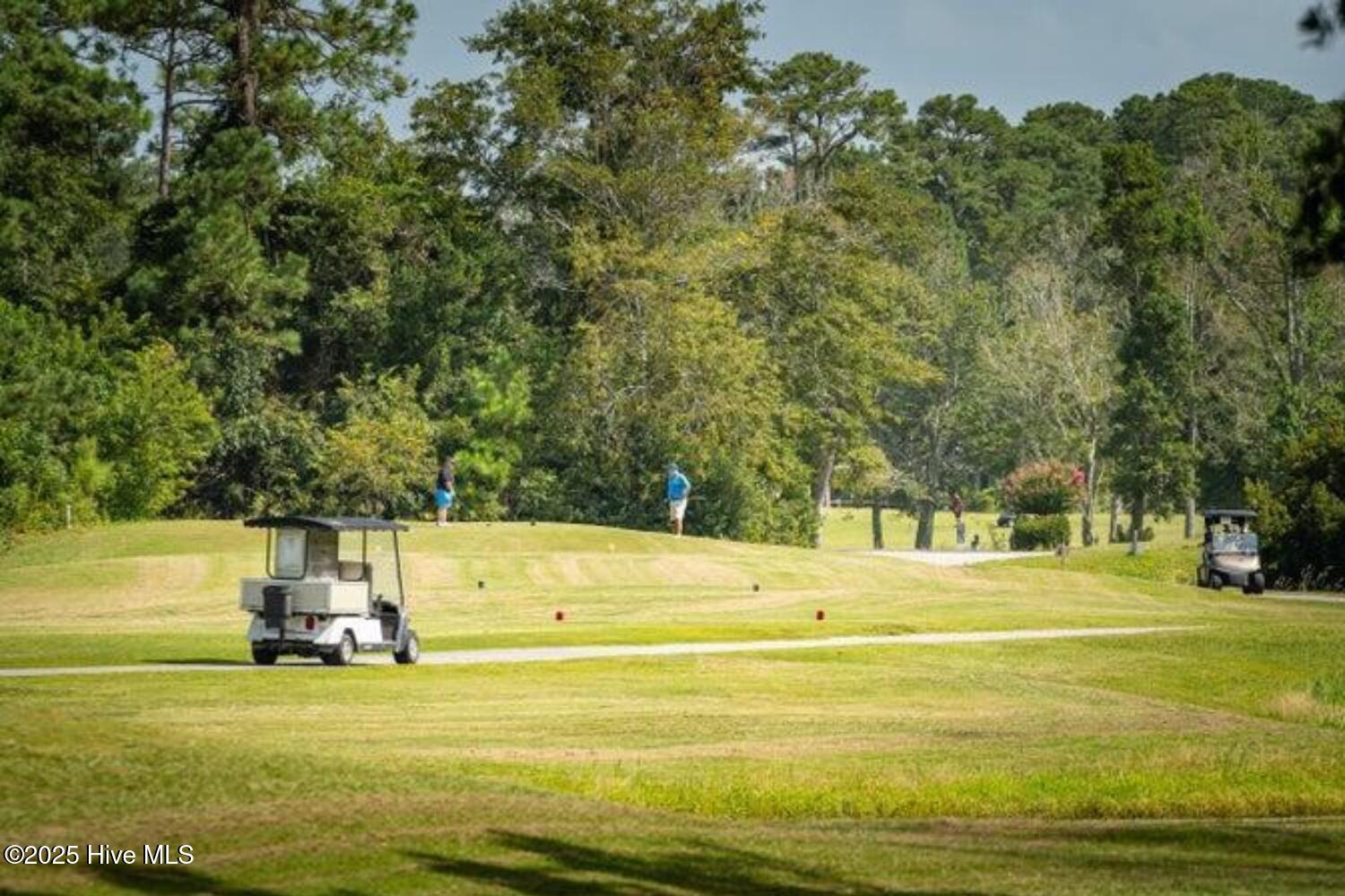 357 McCabe Road Morehead City, NC 28557 - Photo 24 of 30 Backs up to Brandywine Golf Course