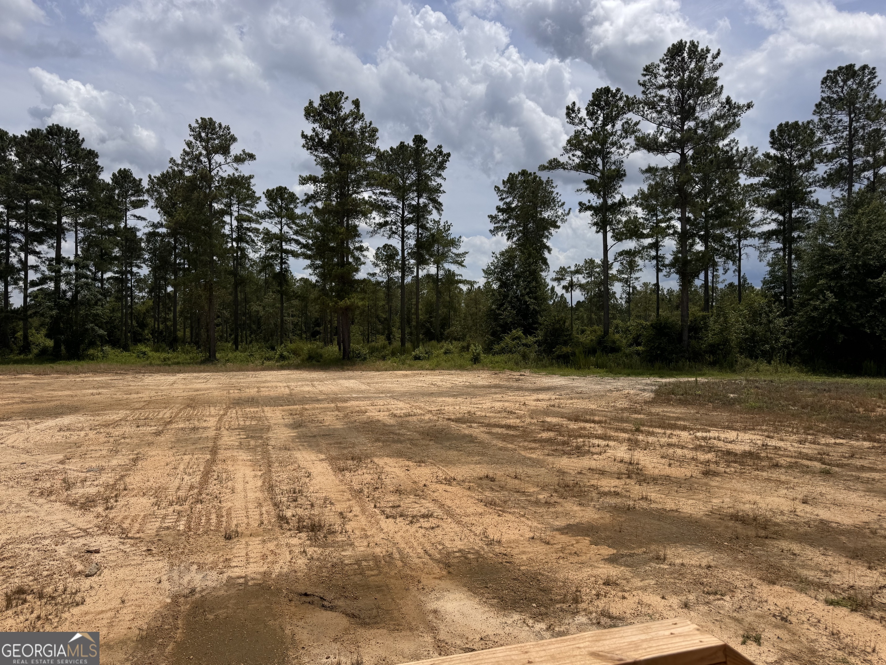 558 Mosley Bridge Road Claxton, GA 30417 - Photo 22 of 23