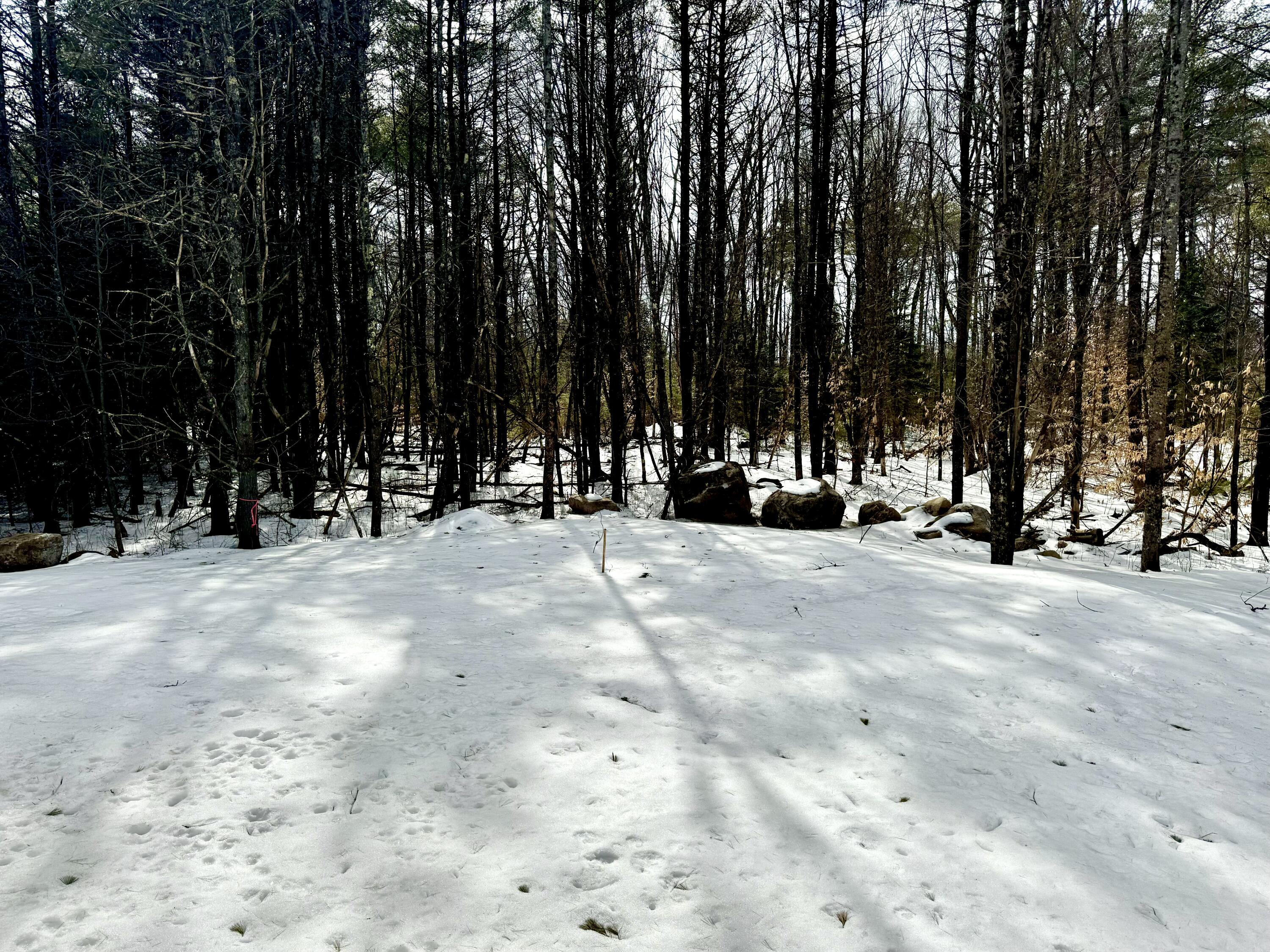 10 Conesca Road Raymond, ME 04071 - Photo 29 of 30 IMG_1761