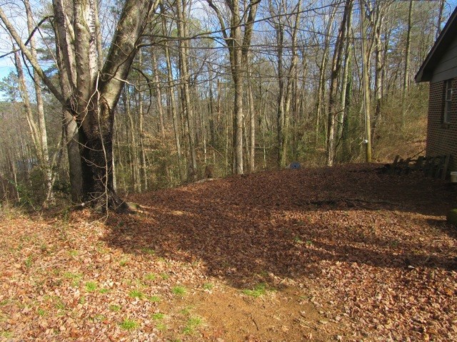 78 Holly Pl Road Marble, NC 28905 - Photo 5 of 30
