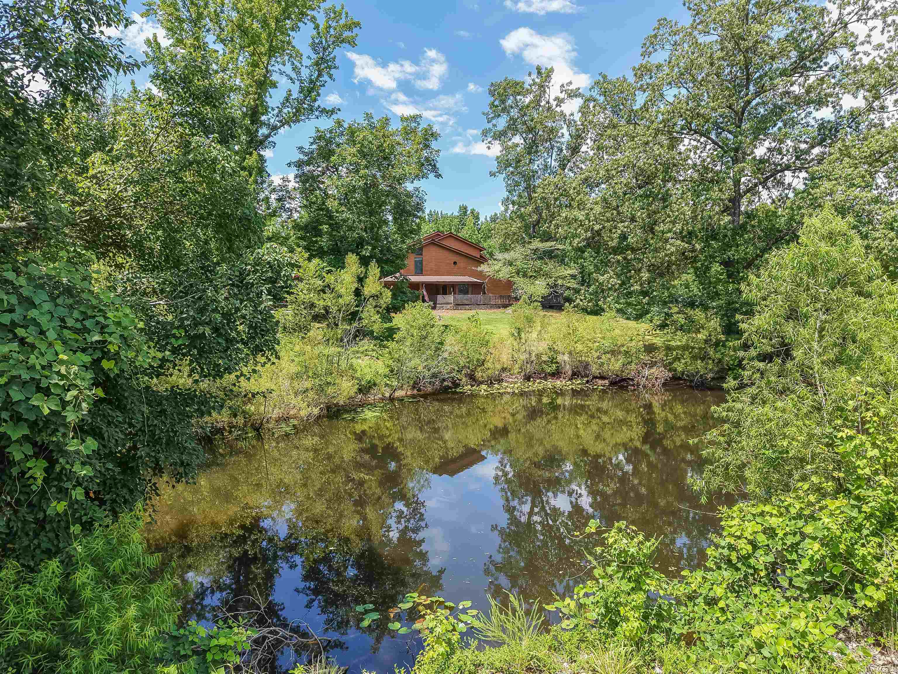 2380 Dunaway Road Selmer, TN 38375 - Photo 9 of 39 Natural pond with surrounding lush greenery and mature trees