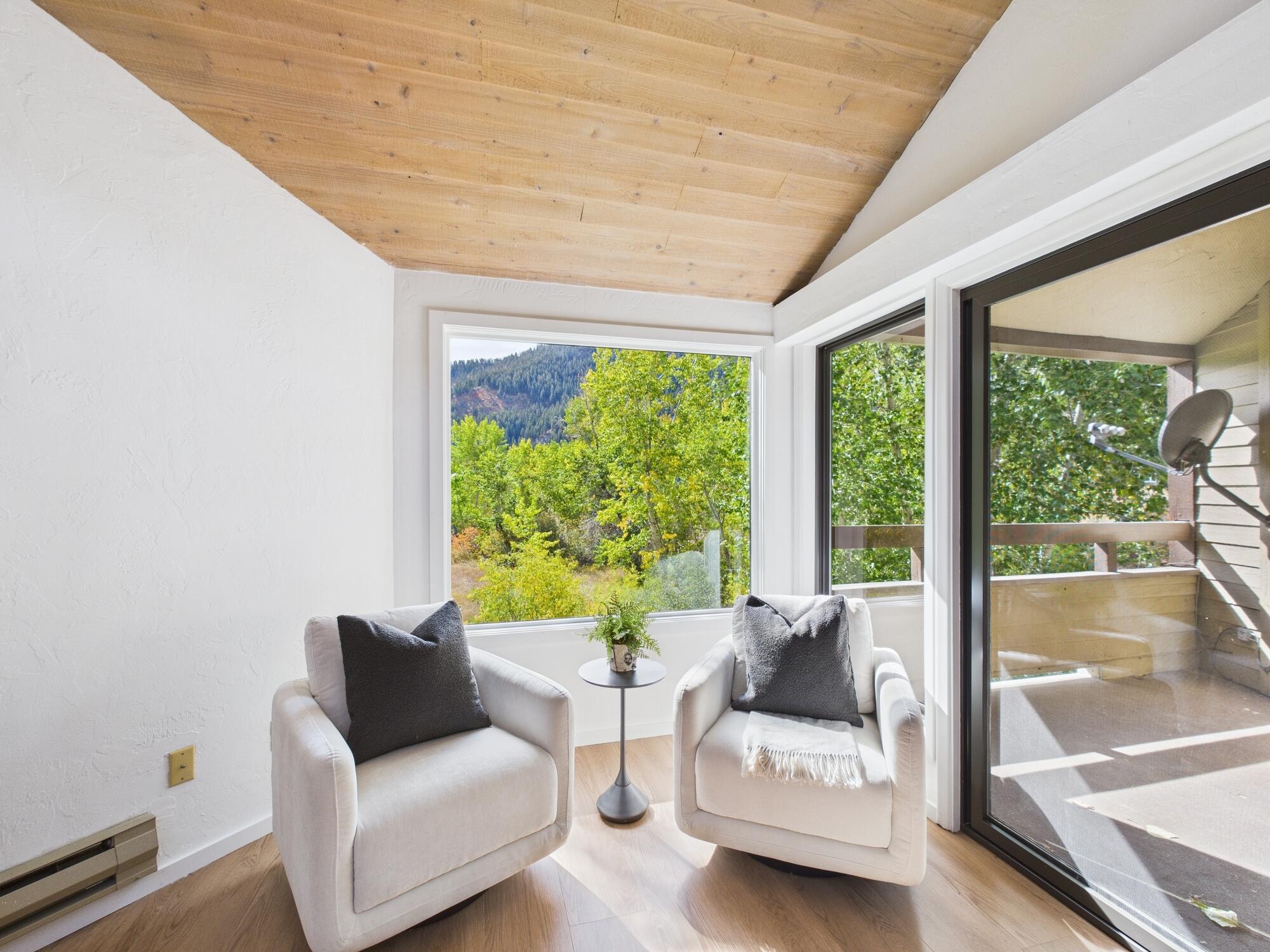 591 2nd Avenue South, Unit 9 Ketchum, ID 83340 - Photo 16 of 30 CAM01726G0-PR0774-STILL018