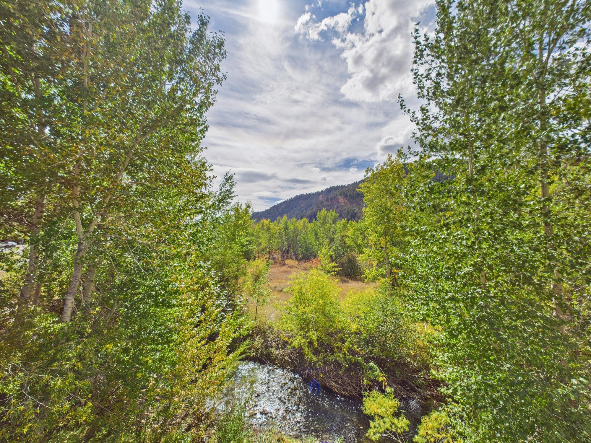 591 2nd Avenue South, Unit 9 Ketchum, ID 83340 - Photo 28 of 30 CAM01726G0-PR0774-STILL022