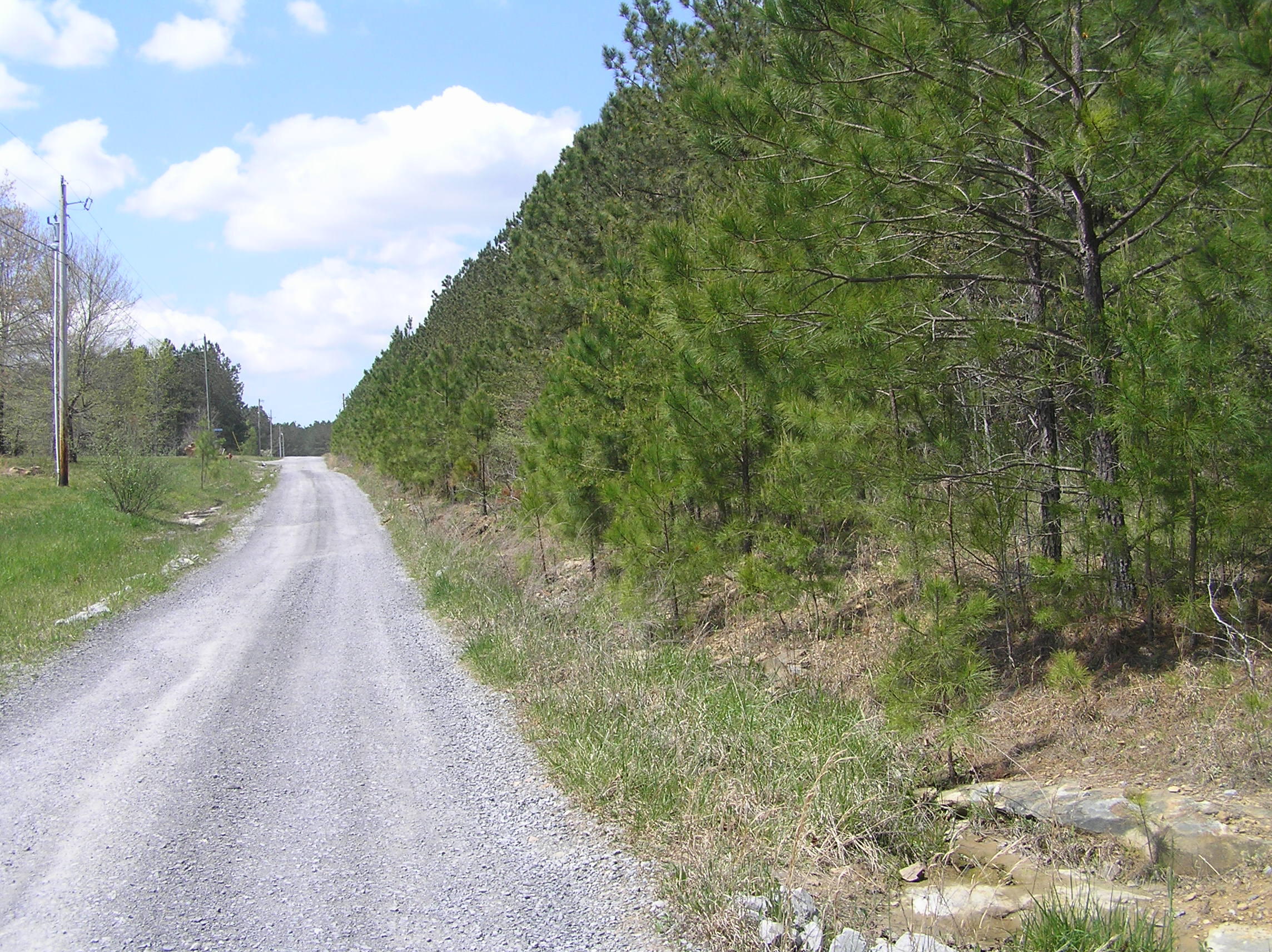 285 Eagle Ridge Road, Unit 6 Graysville, TN 37338 - Photo 1 of 8 P1010025