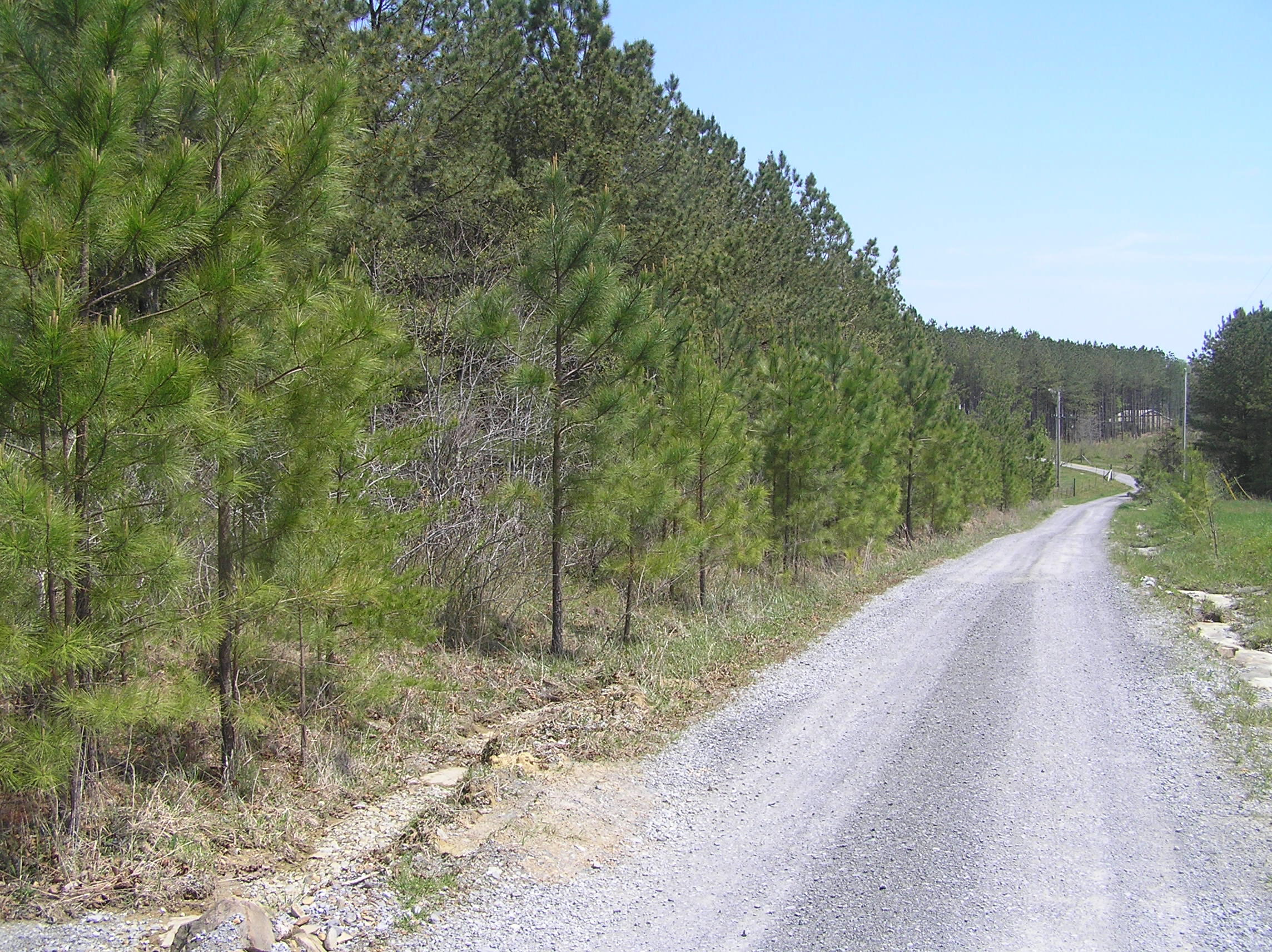 285 Eagle Ridge Road, Unit 6 Graysville, TN 37338 - Photo 4 of 8 P1010028