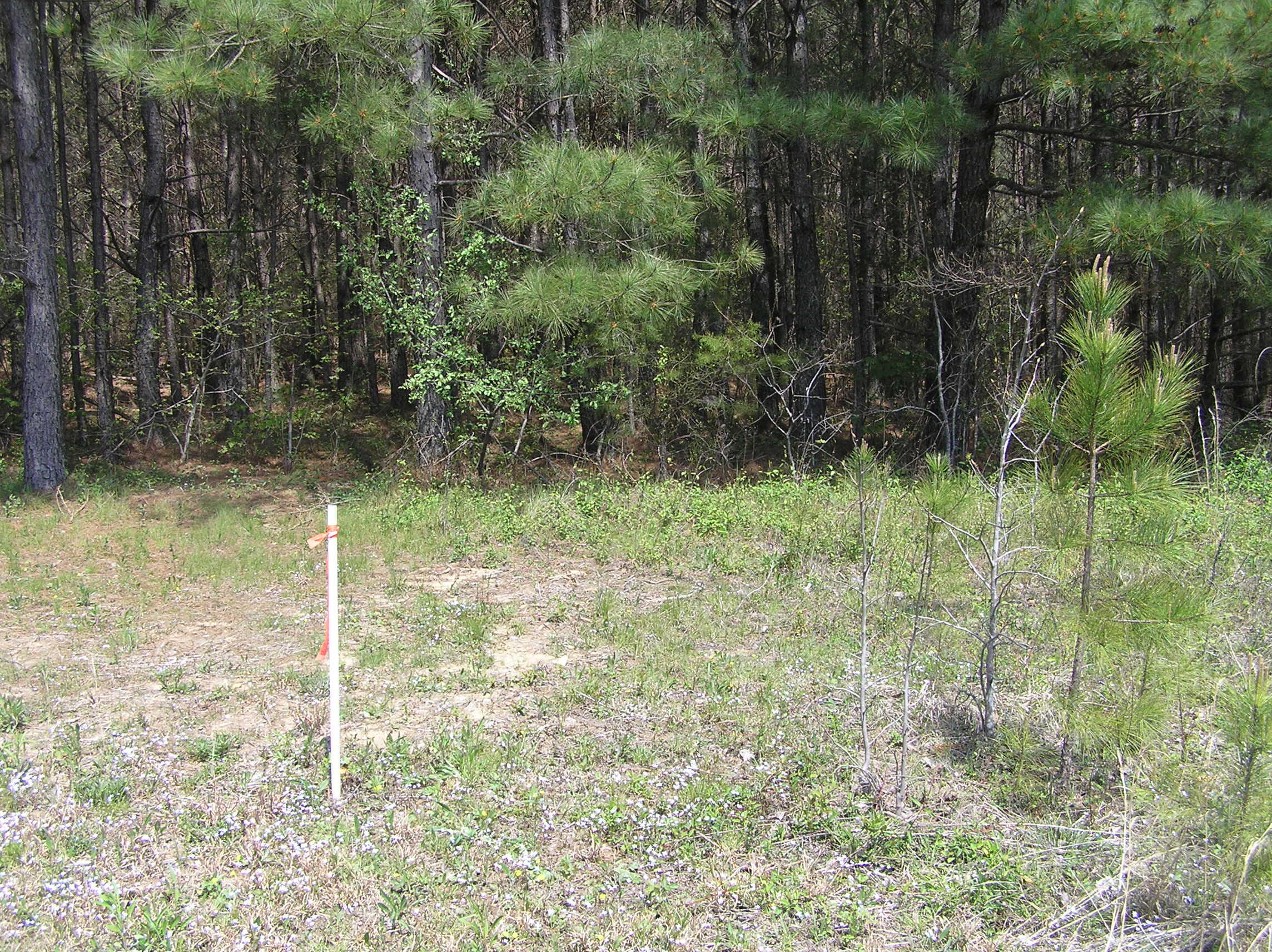 285 Eagle Ridge Road, Unit 6 Graysville, TN 37338 - Photo 8 of 8 P1010032