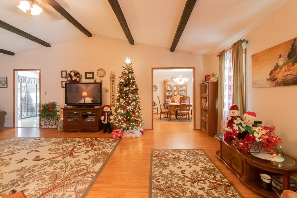 156 Lakeview Trail Rockingham, NC 28379 - Photo 4 of 28 Living Room