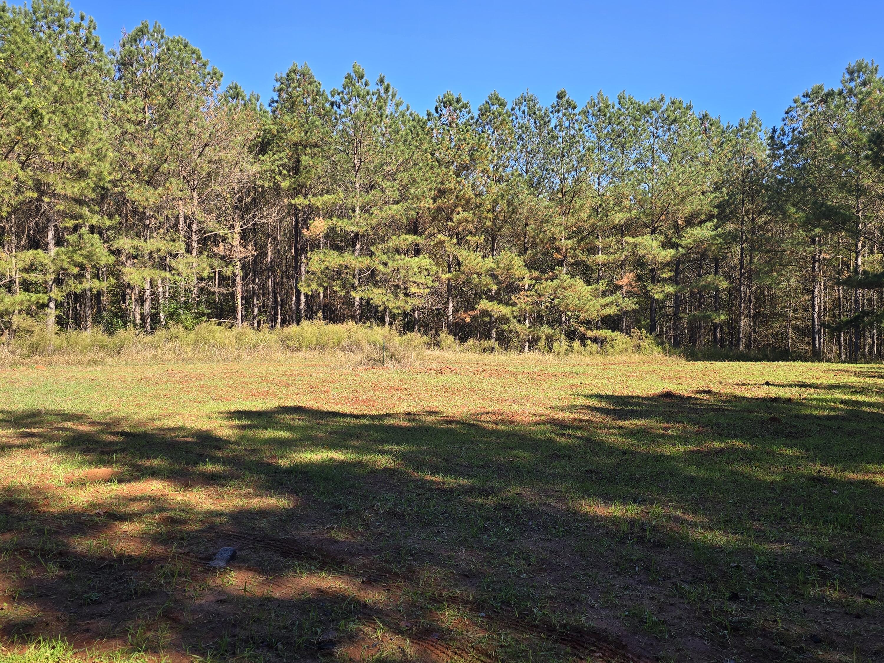 7501 Rainey Morris Road Appling, GA 30802 - Photo 35 of 47 20251031_133945
