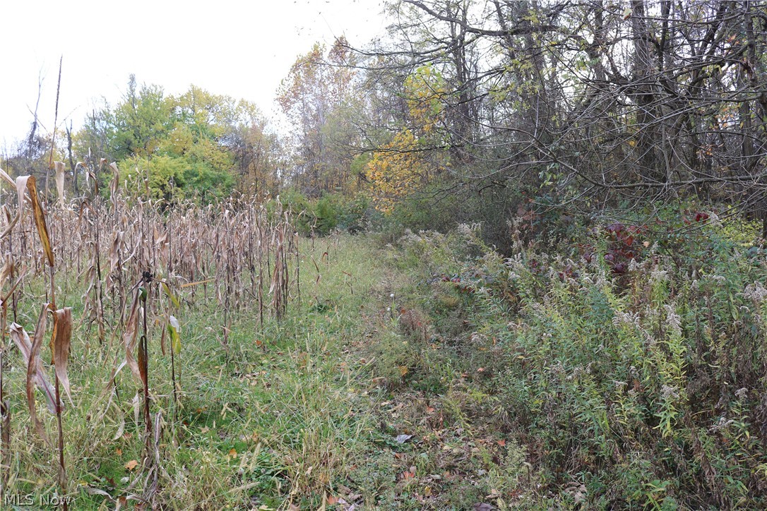 Vandemark Road Lodi, OH 44254 - Photo 17 of 32 Gallery Image 17
