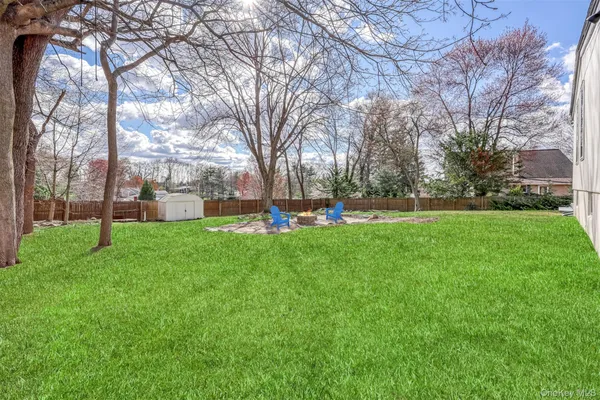 a view of a park with large trees